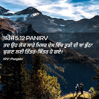 Picture 02 - ਖ਼ਰੋਜ 5:12 PANIRV - ਤਦ ਉਹ ਲੋਕ ਸਾਰੇ ਮਿਸਰ - Bible Verse Picture