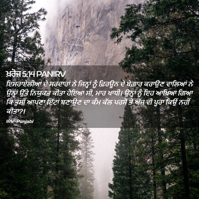 Picture 02 - ਖ਼ਰੋਜ 5:14 PANIRV - ਇਸਰਾਏਲੀਆਂ ਦੇ - Bible Verse Picture