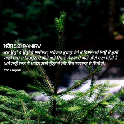 Picture 02 - ਖ਼ਰੋਜ 5:21 PANIRV - ਤਦ ਉਨ੍ਹਾਂ ਨੇ - Bible Verse Picture