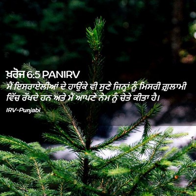 Picture 02 - ਖ਼ਰੋਜ 6:5 PANIRV - ਮੈਂ ਇਸਰਾਏਲੀਆਂ ਦੇ - Bible Verse Picture