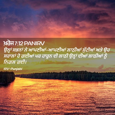 Picture 02 - ਖ਼ਰੋਜ 7:12 PANIRV - ਉਨ੍ਹਾਂ ਸਭਨਾਂ ਨੇ - Bible Verse Picture