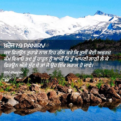 Picture 02 - ਖ਼ਰੋਜ 7:9 PANIRV - ਜਦ ਫ਼ਿਰਊਨ ਤੁਹਾਡੇ - Bible Verse Picture