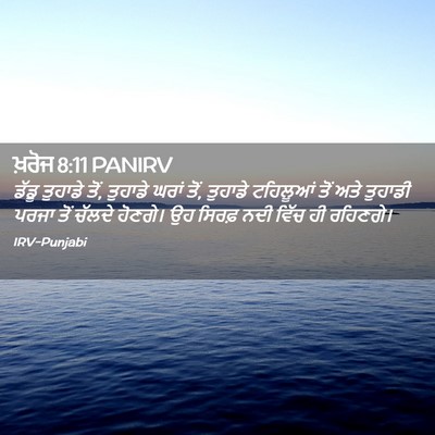 Picture 02 - ਖ਼ਰੋਜ 8:11 PANIRV - ਡੱਡੂ ਤੁਹਾਡੇ ਤੋਂ, - Bible Verse Picture