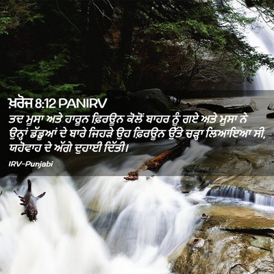 Picture 02 - ਖ਼ਰੋਜ 8:12 PANIRV - ਤਦ ਮੂਸਾ ਅਤੇ ਹਾਰੂਨ - Bible Verse Picture