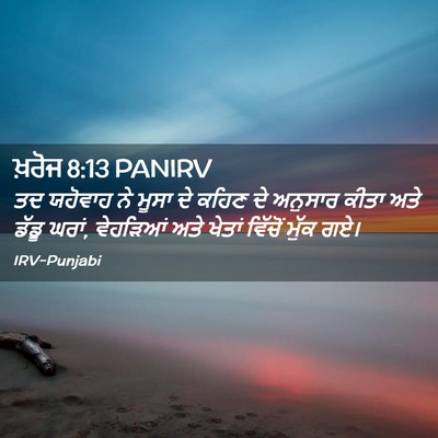 Picture 02 - ਖ਼ਰੋਜ 8:13 PANIRV - ਤਦ ਯਹੋਵਾਹ ਨੇ ਮੂਸਾ - Bible Verse Picture