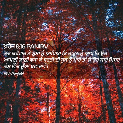 Picture 02 - ਖ਼ਰੋਜ 8:16 PANIRV - ਤਦ ਯਹੋਵਾਹ ਨੇ ਮੂਸਾ - Bible Verse Picture