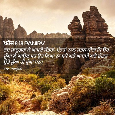 Picture 02 - ਖ਼ਰੋਜ 8:18 PANIRV - ਤਦ ਜਾਦੂਗਰਾਂ ਨੇ - Bible Verse Picture