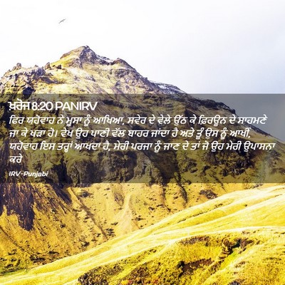 Picture 02 - ਖ਼ਰੋਜ 8:20 PANIRV - ਫਿਰ ਯਹੋਵਾਹ ਨੇ ਮੂਸਾ - Bible Verse Picture