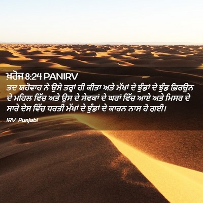 Picture 02 - ਖ਼ਰੋਜ 8:24 PANIRV - ਤਦ ਯਹੋਵਾਹ ਨੇ ਉਸੇ - Bible Verse Picture