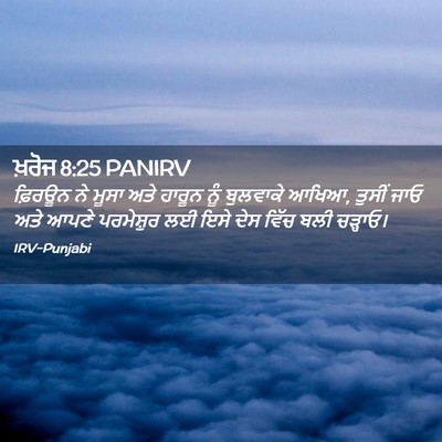 Picture 02 - ਖ਼ਰੋਜ 8:25 PANIRV - ਫ਼ਿਰਊਨ ਨੇ ਮੂਸਾ ਅਤੇ - Bible Verse Picture