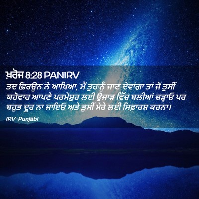 Picture 02 - ਖ਼ਰੋਜ 8:28 PANIRV - ਤਦ ਫ਼ਿਰਊਨ ਨੇ ਆਖਿਆ, - Bible Verse Picture