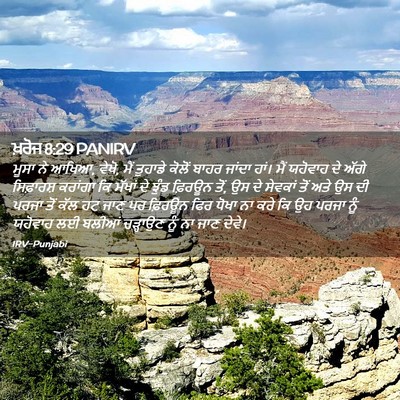 Picture 02 - ਖ਼ਰੋਜ 8:29 PANIRV - ਮੂਸਾ ਨੇ ਆਖਿਆ, ਵੇਖੋ, - Bible Verse Picture