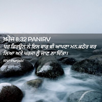 Picture 02 - ਖ਼ਰੋਜ 8:32 PANIRV - ਪਰ ਫ਼ਿਰਊਨ ਨੇ ਇਸ ਵਾਰ - Bible Verse Picture