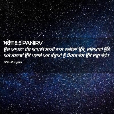 Picture 02 - ਖ਼ਰੋਜ 8:5 PANIRV - ਉਹ ਆਪਣਾ ਹੱਥ ਆਪਣੀ - Bible Verse Picture