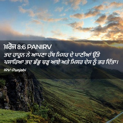 Picture 02 - ਖ਼ਰੋਜ 8:6 PANIRV - ਤਦ ਹਾਰੂਨ ਨੇ ਆਪਣਾ - Bible Verse Picture