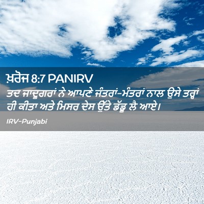 Picture 02 - ਖ਼ਰੋਜ 8:7 PANIRV - ਤਦ ਜਾਦੂਗਰਾਂ ਨੇ - Bible Verse Picture