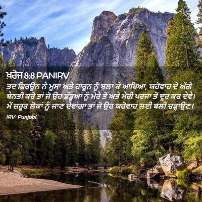 Picture 02 - ਖ਼ਰੋਜ 8:8 PANIRV - ਤਦ ਫ਼ਿਰਊਨ ਨੇ ਮੂਸਾ - Bible Verse Picture