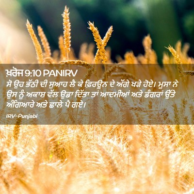Picture 02 - ਖ਼ਰੋਜ 9:10 PANIRV - ਸੋ ਉਹ ਭੱਠੀ ਦੀ ਸੁਆਹ - Bible Verse Picture