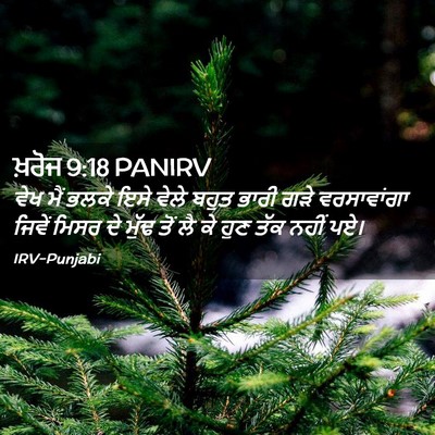 Picture 02 - ਖ਼ਰੋਜ 9:18 PANIRV - ਵੇਖ ਮੈਂ ਭਲਕੇ ਇਸੇ - Bible Verse Picture