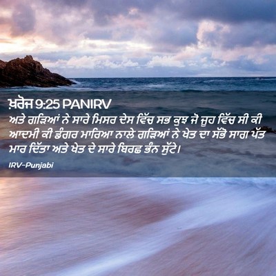 Picture 02 - ਖ਼ਰੋਜ 9:25 PANIRV - ਅਤੇ ਗੜਿਆਂ ਨੇ ਸਾਰੇ - Bible Verse Picture