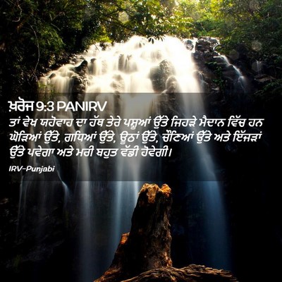 Picture 02 - ਖ਼ਰੋਜ 9:3 PANIRV - ਤਾਂ ਵੇਖ ਯਹੋਵਾਹ ਦਾ - Bible Verse Picture