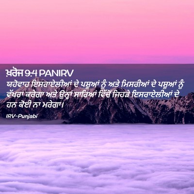 Picture 02 - ਖ਼ਰੋਜ 9:4 PANIRV - ਯਹੋਵਾਹ ਇਸਰਾਏਲੀਆਂ - Bible Verse Picture