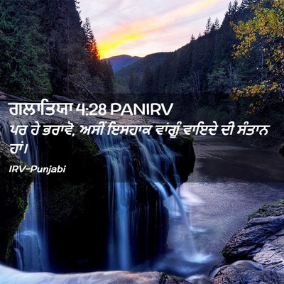 Picture 02 - ਗਲਾਤਿਯਾ 4:28 PANIRV - ਪਰ ਹੇ ਭਰਾਵੋ, ਅਸੀਂ - Bible Verse Picture