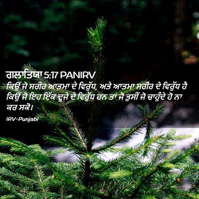 Picture 02 - ਗਲਾਤਿਯਾ 5:17 PANIRV - ਕਿਉਂ ਜੋ ਸਰੀਰ ਆਤਮਾ - Bible Verse Picture