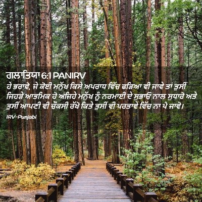 Picture 02 - ਗਲਾਤਿਯਾ 6:1 PANIRV - ਹੇ ਭਰਾਵੋ, ਜੇ ਕੋਈ - Bible Verse Picture