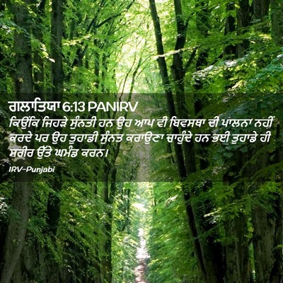 Picture 02 - ਗਲਾਤਿਯਾ 6:13 PANIRV - ਕਿਉਂਕਿ ਜਿਹੜੇ - Bible Verse Picture