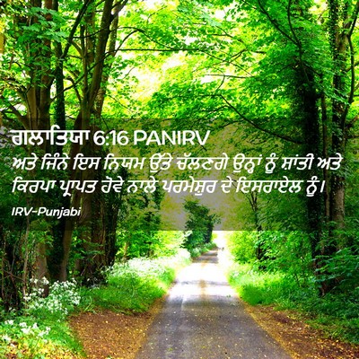 Picture 02 - ਗਲਾਤਿਯਾ 6:16 PANIRV - ਅਤੇ ਜਿੰਨੇ ਇਸ ਨਿਯਮ - Bible Verse Picture