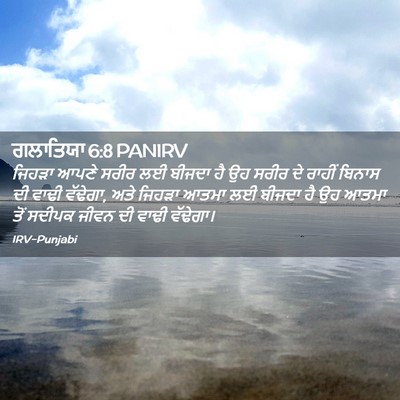 Picture 02 - ਗਲਾਤਿਯਾ 6:8 PANIRV - ਜਿਹੜਾ ਆਪਣੇ ਸਰੀਰ ਲਈ - Bible Verse Picture