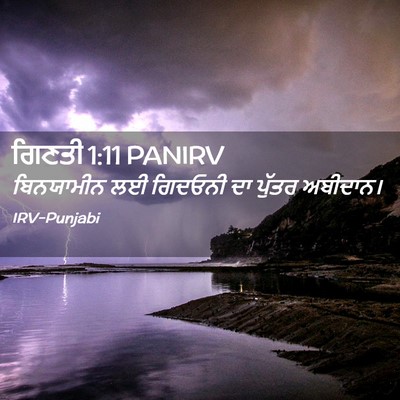 Picture 02 - ਗਿਣਤੀ 1:11 PANIRV - ਬਿਨਯਾਮੀਨ ਲਈ - Bible Verse Picture