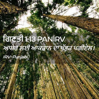 Picture 02 - ਗਿਣਤੀ 1:13 PANIRV - ਆਸ਼ੇਰ ਲਈ ਆਕਰਾਨ ਦਾ - Bible Verse Picture