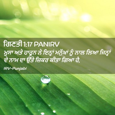 Picture 02 - ਗਿਣਤੀ 1:17 PANIRV - ਮੂਸਾ ਅਤੇ ਹਾਰੂਨ ਨੇ - Bible Verse Picture