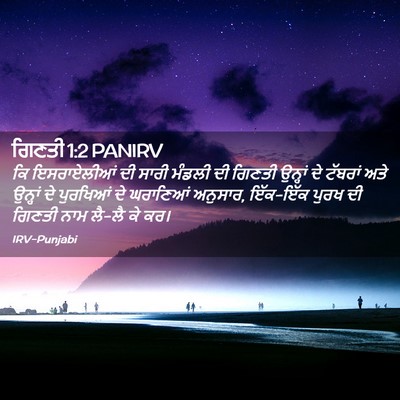 Picture 02 - ਗਿਣਤੀ 1:2 PANIRV - ਕਿ ਇਸਰਾਏਲੀਆਂ ਦੀ - Bible Verse Picture