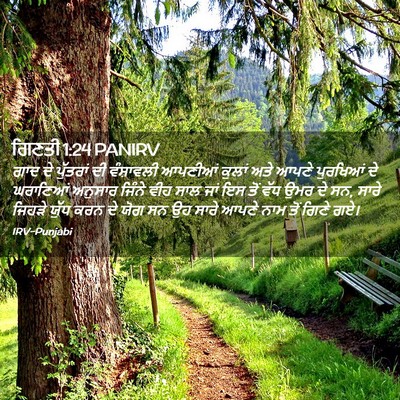 Picture 02 - ਗਿਣਤੀ 1:24 PANIRV - ਗਾਦ ਦੇ ਪੁੱਤਰਾਂ ਦੀ - Bible Verse Picture