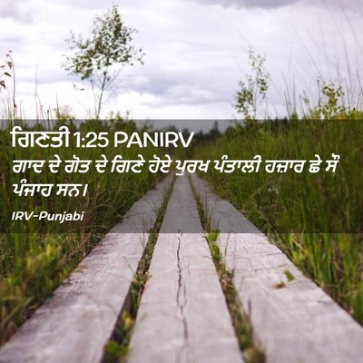 Picture 02 - ਗਿਣਤੀ 1:25 PANIRV - ਗਾਦ ਦੇ ਗੋਤ ਦੇ ਗਿਣੇ - Bible Verse Picture