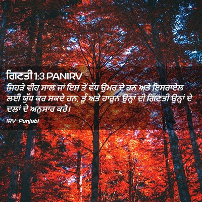 Picture 02 - ਗਿਣਤੀ 1:3 PANIRV - ਜਿਹੜੇ ਵੀਹ ਸਾਲ ਜਾਂ - Bible Verse Picture
