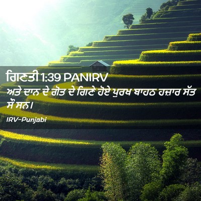 Picture 02 - ਗਿਣਤੀ 1:39 PANIRV - ਅਤੇ ਦਾਨ ਦੇ ਗੋਤ ਦੇ - Bible Verse Picture