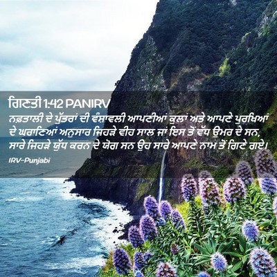 Picture 02 - ਗਿਣਤੀ 1:42 PANIRV - ਨਫ਼ਤਾਲੀ ਦੇ - Bible Verse Picture