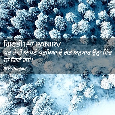 Picture 02 - ਗਿਣਤੀ 1:47 PANIRV - ਪਰ ਲੇਵੀ ਆਪਣੇ - Bible Verse Picture