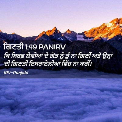 Picture 02 - ਗਿਣਤੀ 1:49 PANIRV - ਕਿ ਸਿਰਫ਼ ਲੇਵੀਆਂ ਦੇ - Bible Verse Picture