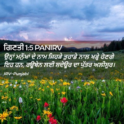 Picture 02 - ਗਿਣਤੀ 1:5 PANIRV - ਉਨ੍ਹਾਂ ਮਨੁੱਖਾਂ ਦੇ - Bible Verse Picture