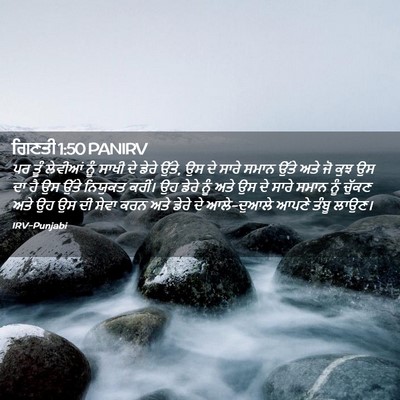 Picture 02 - ਗਿਣਤੀ 1:50 PANIRV - ਪਰ ਤੂੰ ਲੇਵੀਆਂ ਨੂੰ - Bible Verse Picture