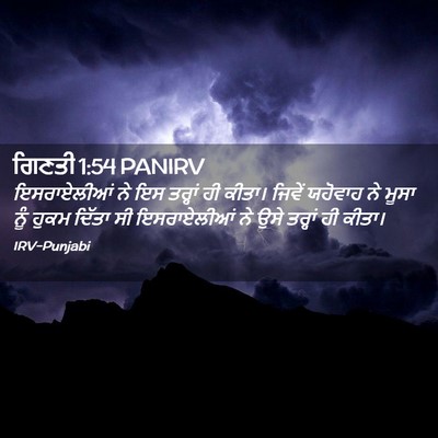 Picture 02 - ਗਿਣਤੀ 1:54 PANIRV - ਇਸਰਾਏਲੀਆਂ ਨੇ ਇਸ - Bible Verse Picture