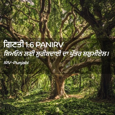 Picture 02 - ਗਿਣਤੀ 1:6 PANIRV - ਸ਼ਿਮਓਨ ਲਈ - Bible Verse Picture