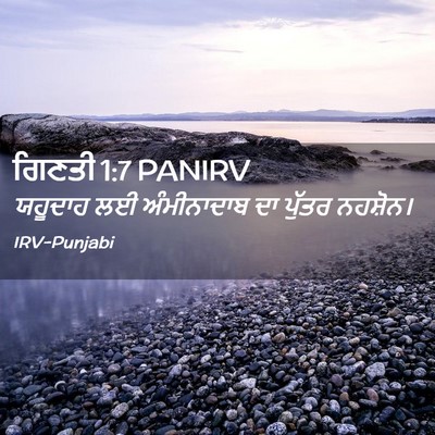 Picture 02 - ਗਿਣਤੀ 1:7 PANIRV - ਯਹੂਦਾਹ ਲਈ - Bible Verse Picture