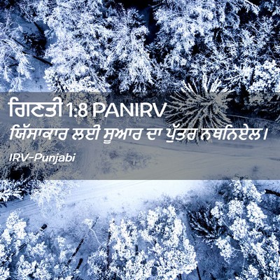 Picture 02 - ਗਿਣਤੀ 1:8 PANIRV - ਯਿੱਸਾਕਾਰ ਲਈ ਸੂਆਰ - Bible Verse Picture