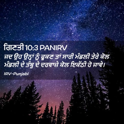Picture 02 - ਗਿਣਤੀ 10:3 PANIRV - ਜਦ ਉਹ ਉਨ੍ਹਾਂ ਨੂੰ - Bible Verse Picture